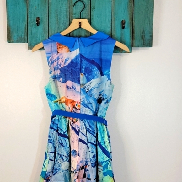 Modcloth "Whimsy without end" belted A-Line pocket dress in snow cat print - Picture 7 of 11